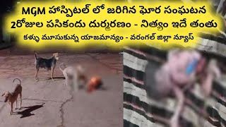 Two Days Old Baby Eaten by Dogs in Warangal MGM Hospital. Police Registered Case