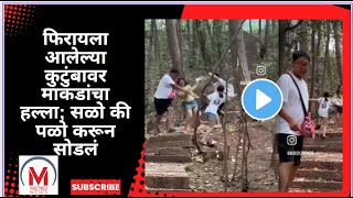 फिरायला आलेल्या कुटुंबावर माकडांचा हल्ला; सळो की पळो करून सोडलं #viralvideo