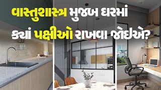 વાસ્તુશાસ્ત્ર મુજબ ઘરમાં ક્યાં પક્ષીઓ રાખવા જોઇએ? #Astrology #Vastushastra #Home #Birds