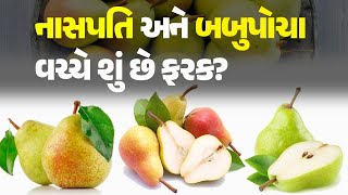 નાસપતિ અને બબુપોચા વચ્ચે શું છે ફરક? #Health #HealthTips