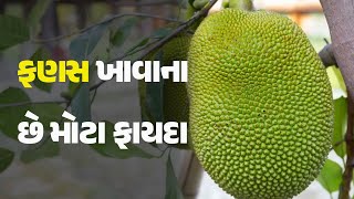 ફણસ ખાવાના છે મોટા ફાયદા #Health #HealthTips #Jackfruit #Benifit