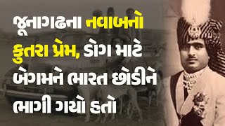 જૂનાગઢના નવાબનો કુતરા પ્રેમ, ડોગ માટે બેગમને ભારત છોડીને ભાગી ગયો હતો #Junagadh #NawabMahabatkhan