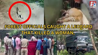 Ek Khatoon Ko Maarne Ke Baad Pakda Gaya Hai Leopard Ko - Pacharla, Nandyal District | SACHNEWS |