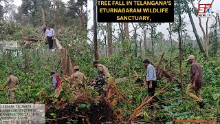 Approx 50,000 Trees Jo Ke 2 Kilometers Tak Toot Gaye Hai @ Telangana Eturnagaram Wildlife Sanctuary