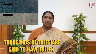 Mulugu District Mein Hazaron Trees Tootne Par TG MInister Seethakka Ka Bayan | SACHNEWS |