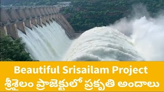 Srisailam Dam | శ్రీశైలం జలాశయానికి భారీగా వరద.. ఏడుగేట్లు ఎత్తివేత | @smedia