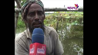 কিশোরগঞ্জ সদর উপজেলায় জনপ্রিয় হচ্ছে ভাসমান বেডে সবজি ও মসলা চাষ। Ananda Tv