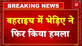 Bahraich Wolf Attack Update: नहीं थम रहा भेड़ियों का आतंक, भेड़िए ने 6 साल की बच्ची पर किया हमला !