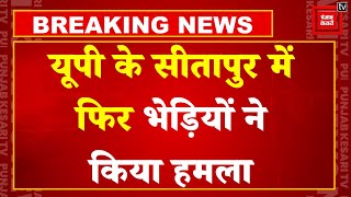 Wolf Attack in UP: यूपी के Sitapur में भेड़ियों ने फिर किया हमला, एक महिला और लड़की को बनाया निशाना!