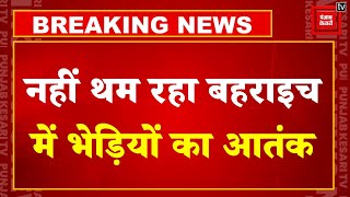 Wolf Attack: Bahraich में आदमखोर भेड़िए का आतंक जारी,  28 साल की महिला पर भेड़िए ने किया हमला! | UP