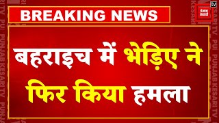 Breaking News: Bahraich में भेड़िए ने फिर किया हमला, छत पर सो रहे 13 साल के बच्चे को किया घायल | UP