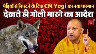 Bahraich Wolf Attack Update: भेड़ियों से निपटने के लिए CM Yogi का Plan, देखते ही गोली मारने का आदेश