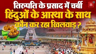 Tirupati Balaji के प्रसाद में चर्बी,छिड़ा सियासी गर्मी ,CM Chandra Babu Naidu के दिखे तीखे तेवर