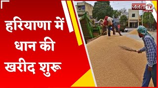 Paddy Procurement In Haryana: किसानों के लिए बड़ी राहत की खबर,हरियाणा में आज से शुरू होगी धान की खरीद