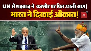 Pakistan On Kashmir in UNGA: शहबाज़ ने फिर उगली आग!, India ने दिखाया औकात, ‘यह हास्यास्पद’ | Shahbaz