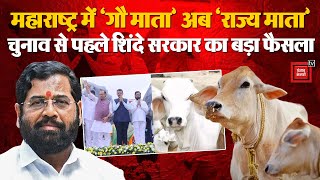 Gaumata is Rajmata In Maharashtra: EkNath Shinde ने देसी गाय को दिया राज्यमाता का दर्जा | PM Modi