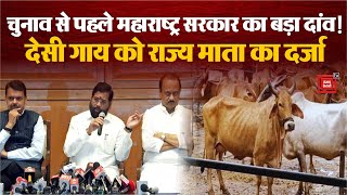 Maharashtra Politics: 'गौ माता' अब 'राजमाता', महाराष्ट्र में गाय पर राजनीति! | Eknash Shinde