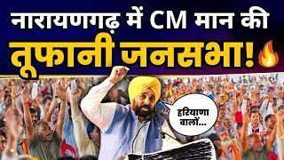 CM Bhagwant Mann की  Narayangarh में Jansabha l Arvind Kejriwal l Haryana Elections 2024