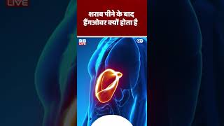 शराब पीने के बाद हैंगओवर क्यों होता है | #DWScience #DWHealth #VitaminD | #shorts #dblive #video