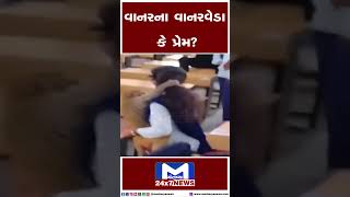 વાંદરાની ક્લાસરૂમમાં ધમાકેદાર એન્ટ્રી | MantavyaNews