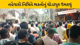 Banaskatha: અંબાજી મંદિરમાં ભકતોનો ધસારો | MantavyaNews