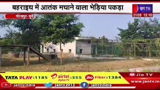 Gorakhpur News | बहराइच में आतंक मचाने वाला भेड़िया पकड़ा गया भेड़िया गोरखपुर प्राणी उद्यान लाया गया