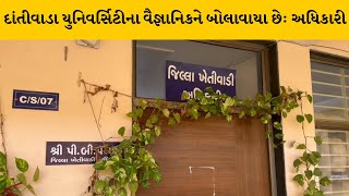 Arvalli : મેઘરજમાં તીડ આતંકનો મામલો, રેલ્લાવાડામાં 25થી વધુ ગામોમાં જીવાતનો આતંક | MantavyaNews