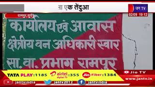 Rampur-पिंजरे में कैद हुआ एक तेंदुआ, मसवासी के लोगों ने ली राहत की सांस