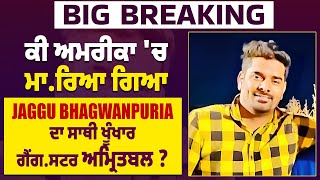 Big Breaking : ਕੀ ਅਮਰੀਕਾ 'ਚ ਮਾ.ਰਿਆ ਗਿਆ Jaggu Bhagwanpuria ਦਾ ਸਾਥੀ ਖੂੰਖਾਰ ਗੈਂਗ.ਸਟਰ ਅਮ੍ਰਿਤਬਲ ?