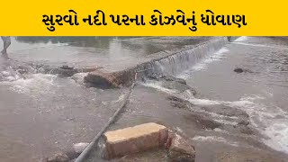 Amreli : વડીયા સુરવો નદી પરના કોઝવેનું ધોવાણ થતા વાહન ચાલકોને મુશ્કેલી | MantavyaNews