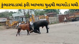 Bhavnagar : કુંભારવાડામાં રેલવે ફાટક પાસે બે અખલાઓ બાખળીયા | MantavyaNews