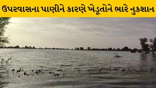 Ahmedabad : સાણંદના નળકાંઠા વિસ્તારના ખેતરો બેટમાં ફેરવાયા | MantavyaNews