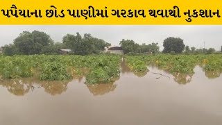 Kheda : કપડવંજના શિહોરા સહીત અનેક ગામોમાં વરસાદથી ખેડૂતોને પાકમાં નુકશાનની ભીતિ | MantavyaNews