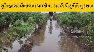 Surendranagar : નર્મદા કેનાલના પાળાને કારણે ખેતરોમાં પાણી ભરાતા ખેડૂતોને ભારે નુકસાન | MantavyaNews