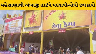 Mahesana : 251 ફૂટ લાંબી ધજા સાથે પદયાત્રીઓ અંબાજી પહોંચશે, પદયાત્રીઓની સેવા માટે સેવકો ખડેપગે |