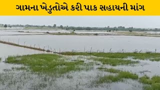 Patan માં છાણીયાથાર ગામે ખેતરોમાં વરસાદી પાણી ભરાતા પાકને નુકશાન | MantavyaNews