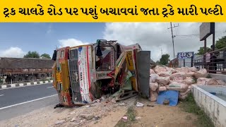 Banaskantha : પાલનપુર આબુ હાઇવે પર પશું બચાવવાં જતા ટ્રકે મારી પલ્ટી | MantavyaNews