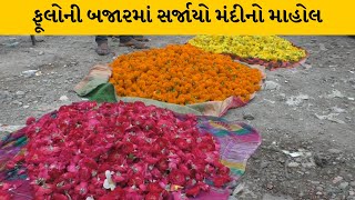 Jamnagar માં ફૂલોની ખેતીને નુકશાન થતા ફૂલોનો ભાવ રૂ.200 થી 1000 સુધી પહોંચ્યો | MantavyaNews