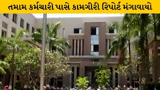 Rajkot : ટાઉન પ્લાનિંગ વિભાગના કર્મીઓ પાસે મનપા કમિશ્નર દ્વારા કામગીરી રિપોર્ટ મંગાવાયો