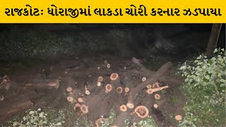 Rajkot : ધોરાજીમાં છત્રાસા ગામે ફોરેસ્ટ વિભાગે લાકડા ચોરને ઝડપ્યા | MantavyaNews