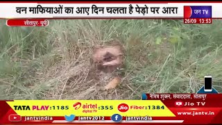 Sitapur UP  | वन माफियाओं का आए दिन चलता है पेड़ों का आरा,वन विभाग की मिलीभगत से काटे जा रहे हरे पेड़