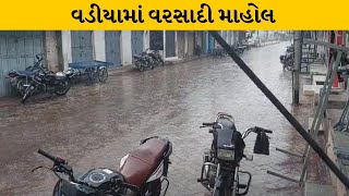 Amreli : વડીયામાં બીજા દિવસે વરસાદી માહોલ| MantavyaNews