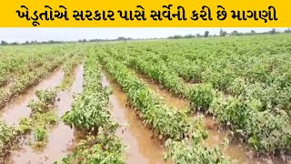 Surendranagar :  મુળીના સડલા ગામે સતત વરસાદથી ખેતરોમાં પાણી ભરાતા પાકને નુકશાન | MantavyaNews