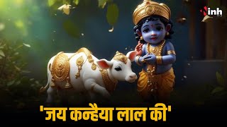 Janmashtami 2024 : चारों तरफ कृष्ण जन्माष्टमी की धूम, मंदिरों में उमड़ी भक्तो की भीड़ | MP-CG News