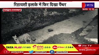 Nathdwara Raj News | कनवा बस्ती में सीसीटीवी में कैद हुई मूवमेंट, रिहायशी इलाके में फिर दिखा पैंथर