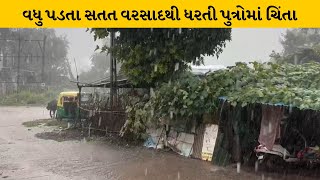 Arvalli  :યાત્રાધામ શામળાજીમાં ધોધમાર વરસાદ | MantavyaNews