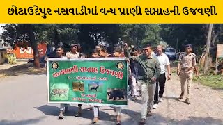 Chhotaudaipur : નસવાડીમાં આદર્શ નિવાસી શાળાના વિદ્યાર્થીઓએ વન્ય પ્રાણી સપ્તાહની ઉજવણી | MantavyaNews