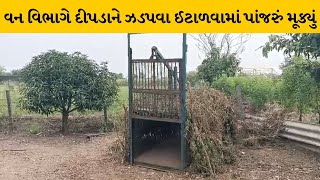 Navsari : વોર્ડ નં. 13ના વિસ્તારોમાં દીપડો દેખાતા લોકોમાં ફફડાટ | MantavyaNews