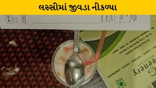 Bharuch : ગ્રીનરી હોટલની લસ્સીમાંથી નીકળ્યા જીવડા | MantavyaNews