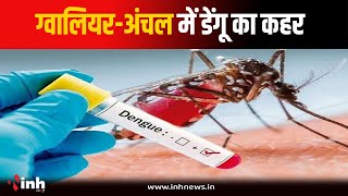 Gwalior-अंचल में Dengue का कहर, 24 घंटे में आए 17 मरीज...रोकथाम के लिए जुटा Malaria दस्ता | MP News